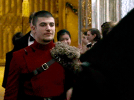 Viktor Krum Wizarding World (Character) Pop Price Guide