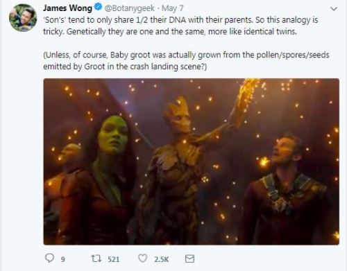 sherlohomora:Biology of Baby Groot, as tweeted by an Actual Botanist