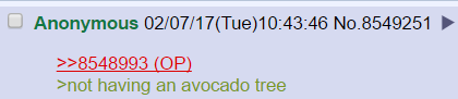 celticpyro: doom-exe:  iamoutofideas:   doom-exe:  i dont get the hate with greentexting outside of 4chan it can take a statement like  “wow its really pathetic that you dont own an avocado tree” and simplifies it to  A lot of racists use it outside