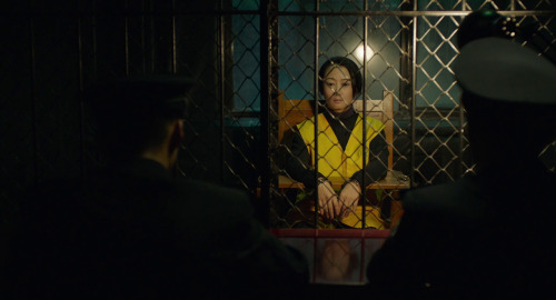 “In the films of her husband and ongoing collaborator Jia Zhangke, Zhao Tao has burrowed into each o