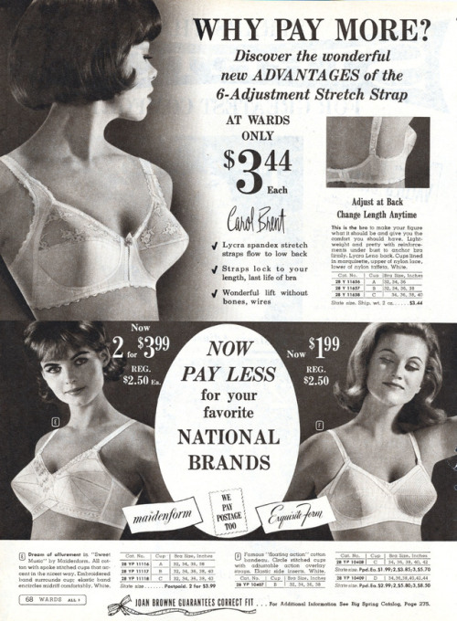 Montgomery Ward, Prospekt Sommer 1964 ( Teil 2/ende)