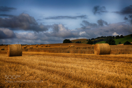 Hay Bales by HildaMurray