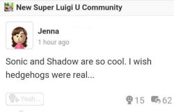 badmiiversepost:  “Sonic and Shadow are so cool. I wish hedgehogs were real…” 