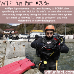 wtf-fun-factss:  Japanese man learns SKUBA
