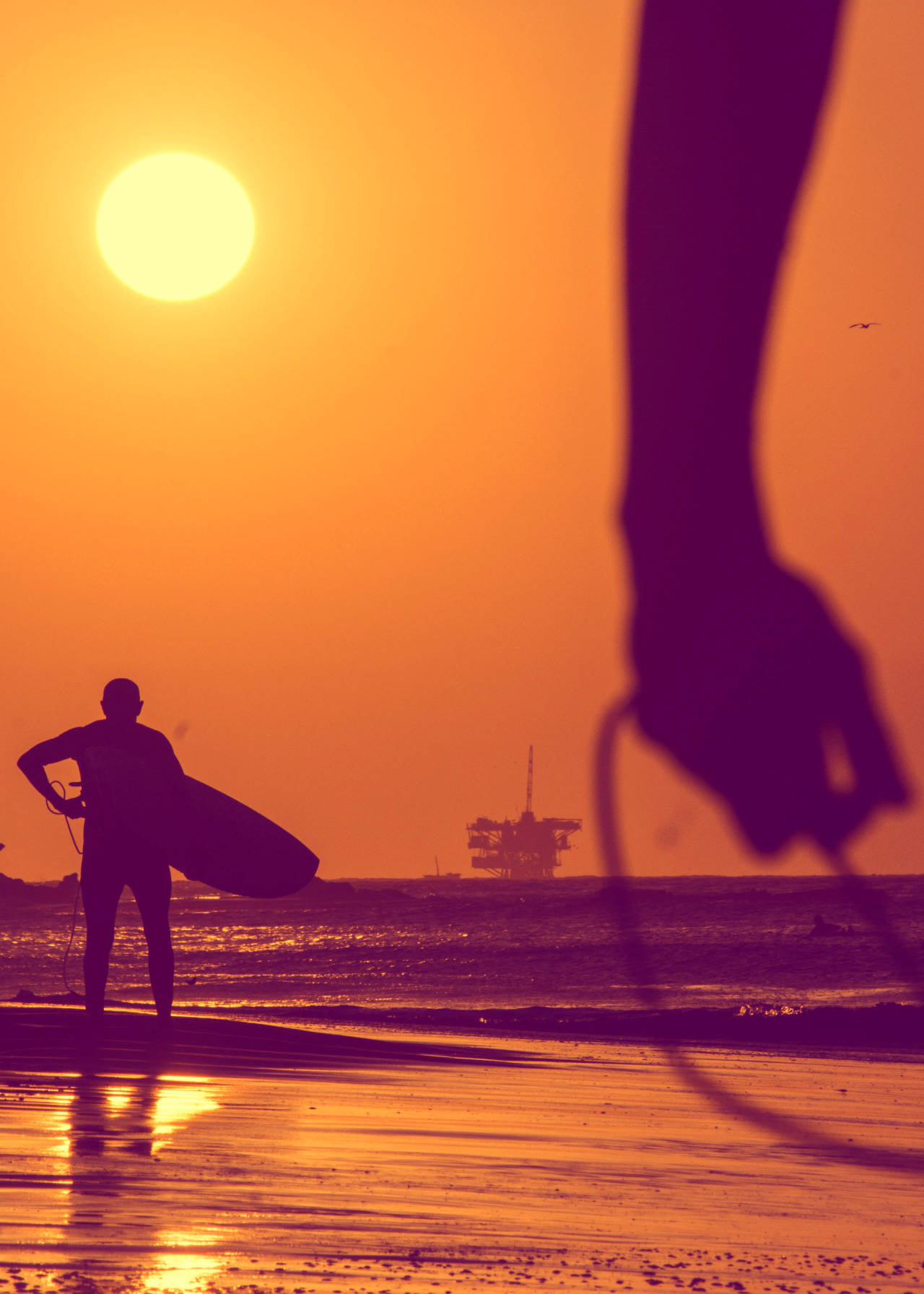 highenoughtoseethesea:  Electric evening Photo: Ana Catarina Teles 