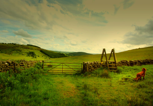 Scottish Borders