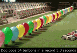 For animated GIFs