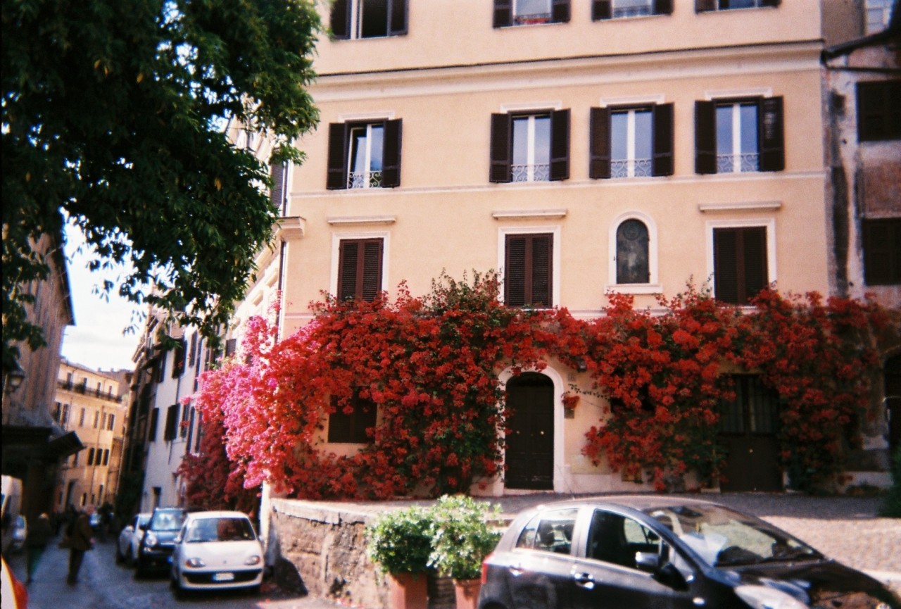 chili-jesson:  rome, 2015 