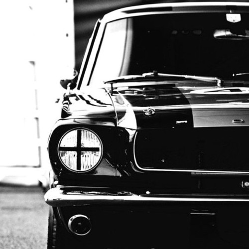 titaniumbros:  #thatshot #thursday #ford #mustang #classic #musclecar #americanmade #detroit