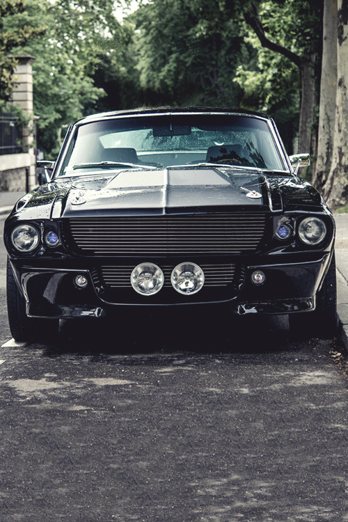 mistergoodlife: Eleanor 