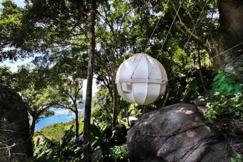culturenlifestyle:  The Cocoon Tree The Cocoon Tree is a small circular tent, which is suspended on trees, according to one’s desire or needs. Available in 12 different colors, ranging from purple to green, the circular shape is a conscious design