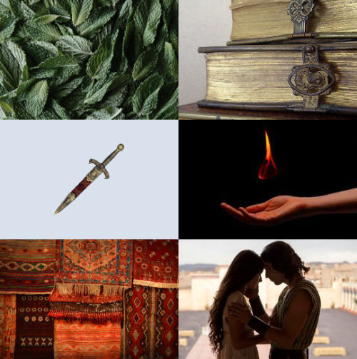 pretendingtobeclever:  2018 in books - the rose and the dagger by renee adhieh Destiny was for fools