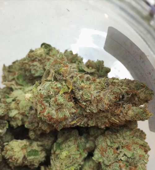 ganjaginga: Blueberry Ak47