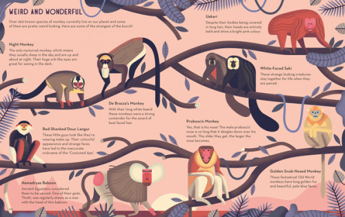 theolduvaigorge: Mad About Monkeys: A Loving Illustrated Encyclopedia of Weird and Wonderful Kindred