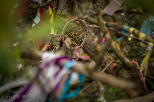 Ribbons, charms and dreamcatchers at the celtic cloughtie well in Madron - Cornwall, England