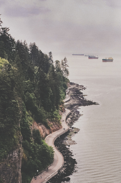  nature & vintage blog 