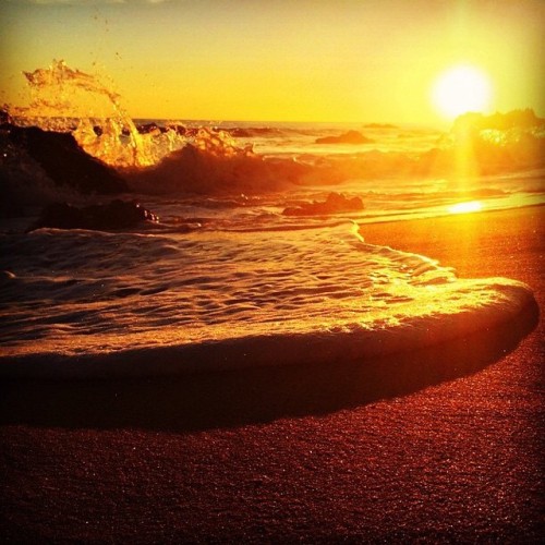 gettyimages:  Photo by @mmimages: Malibu | #winter #malibu #california #ocean #sun #micro (at Malibu, California)