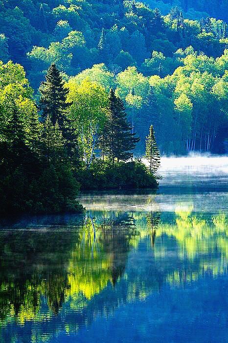 Canadian Summer Morning,