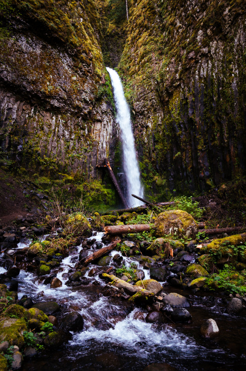 kovthephotographer:Dry Creek Falls, OregonAbout a half mile off the Pacific Crest Trail in the Colum