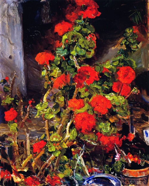 wonderingaboutitall:  Geraniums - Joseph Kleitsch