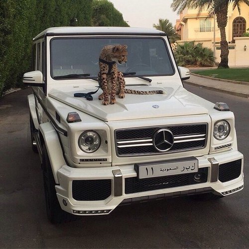 success-get-them-jealous:  Success-get-them-jealous