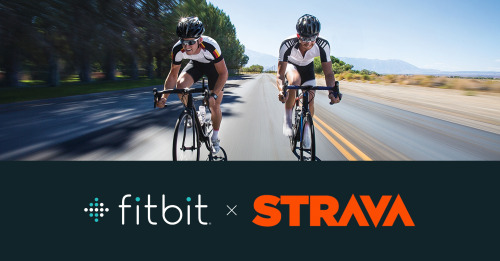 best fitbit for strava