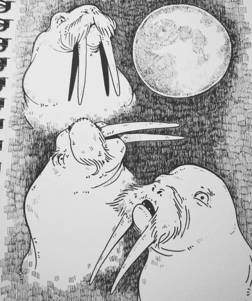 Drew a “Three Walrus Moon” for a friend lol. She seemed to like it. #art #doodle #sketch