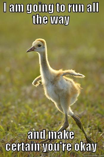 thatweirdkiddyouknow:  Supportive Sandhill Crane 