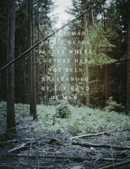 xbxtchdontkillmyvibex:  kushandwizdom:  Good Vibes HERE  xxx 