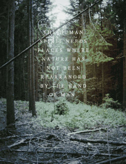 Xbxtchdontkillmyvibex:  Kushandwizdom:  Good Vibes Here  Xxx 