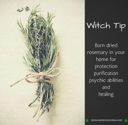 bloodeysex:  Witchy tip! Money saver! Grow