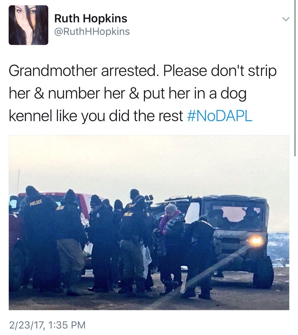 nativenews: Ruth Hopkins updates on the illegal evictions at Standing Rock    [TWEET