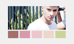 :  Zayn; colour palette (insp) 
