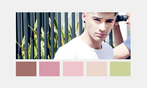 :  Zayn; colour palette (insp)  porn pictures