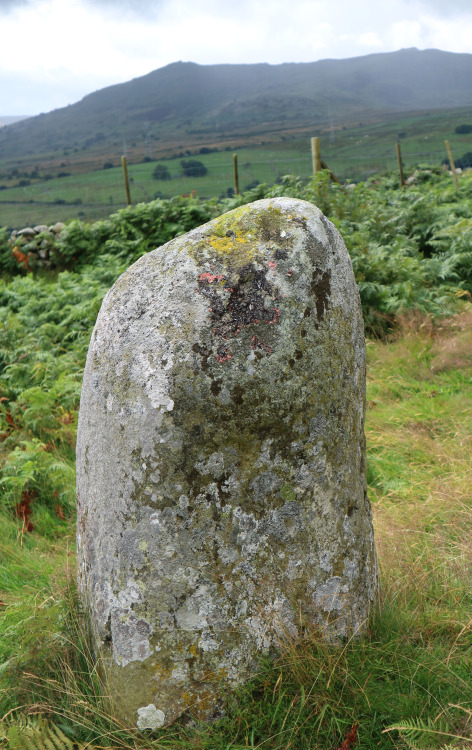 Caerhun Standing Stones, Conwy, North Wales. This is one of a pair of standing stones. The other is 