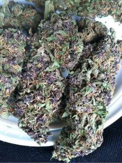 wordagain:  Got that purp nug 