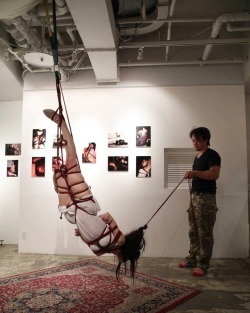 mooncat3: #kinbaku #shibari #縄 #緊縛 #悟空 #縛り#悟百鬼展