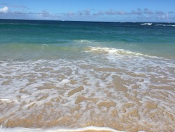 gucciputa:  Hawaii beach days 🌺️💗