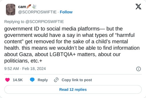 government ID to social media platforms— but the government would have a say in what types of “harmful content” get removed for the sake of a child’s mental health. this means we wouldn’t be able to find information about Gaza, about LGBTQIA+ matters, about our politicians, etc.+  — cam🪶🕊️ (@SCORPlOSWIFTIE) February 18, 2024