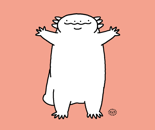 Axolotl Gif On Tumblr