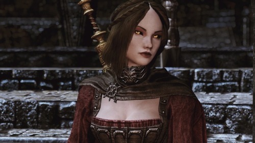 Heiko Follower Dawnguard Editionwith my Serana edit included, along side my Dawnguard Elite Armor an