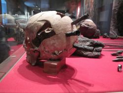 ta-ether:  anthropolos:  irisharchaeology:  A human skull with three iron arrowheads embedded in it. It’s from the Battle of Visby, Denmark, which was fought in AD 1361   Source   hes ok but he died  also from the same exhibit (I’m pretty sure).