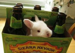 lolexpress:  My beer needed more hops☆ lol tumblr