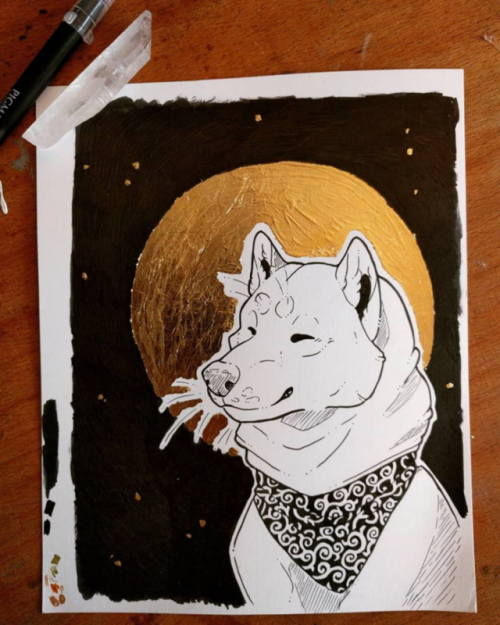 ✨shibe✨