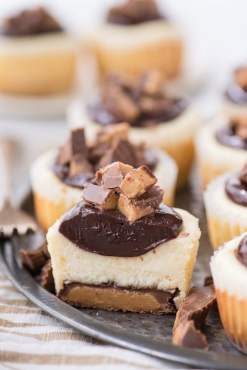 sweetoothgirl: Mini Cheesecakes! (Recipes 1, 2, 3, 4, 5, 6, 7, 8, 9, 10)