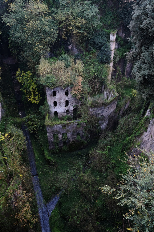 scavengedluxury:Deep Valley of the Mills. Sorrento, November 2015. 