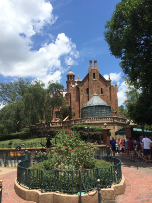 criminy:  more Disney world shots!  Also, the drink is called let it glow! it was delicious!