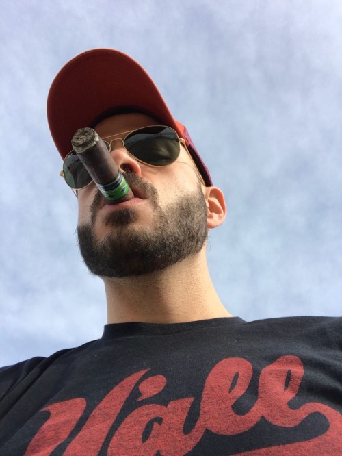 CAO Brazilia Corcovado