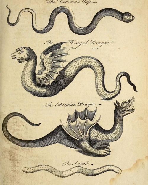 histsciart:#FantasticBeasts in #BHLib: ow.ly/q1iW30cSK4X – #HSAatOne Top Tweet for Augu