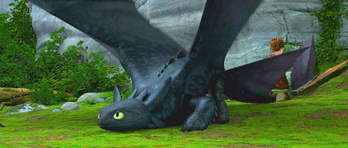 weirdunicorn:  d-dinosaur:  bundleoftrolls:  easterbunnymundlover:  I did some screencaps of Toothless’ markings.  never knew he had markings…  id like to think he had them cause he was younger/juvenile in the first movie :0 kind of like a deer or